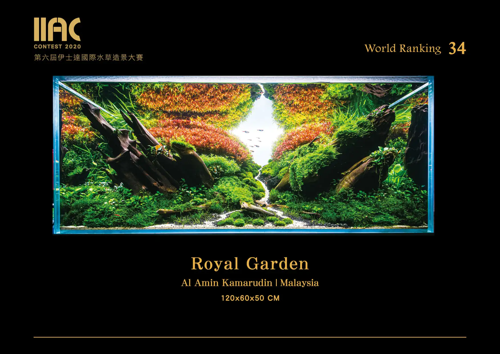 Royal Garden - IIAC 2020 #34 Al Amin Kamarudin / Malaysia