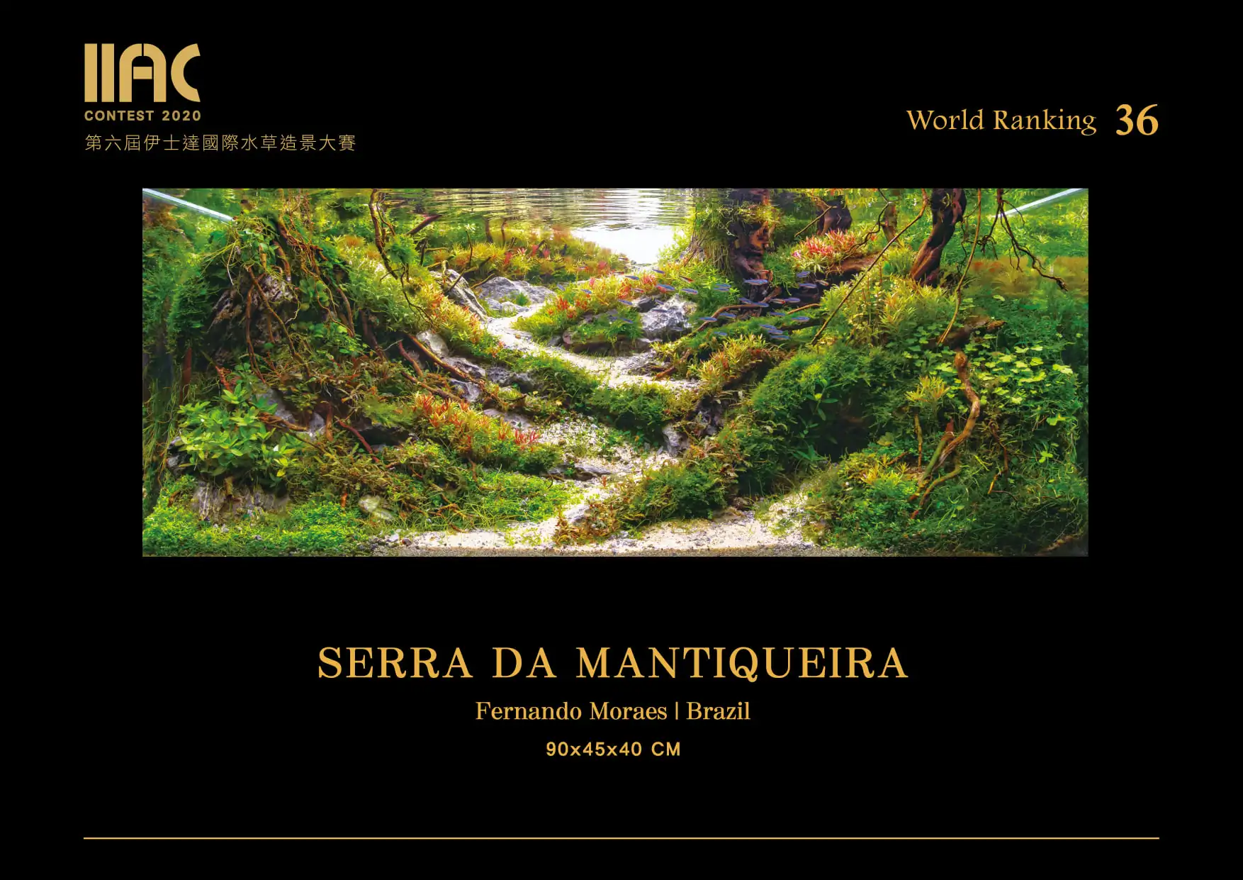 Serra Da Mantiqueira - IIAC 2020 #36 - Fernando Moraes / Brazil