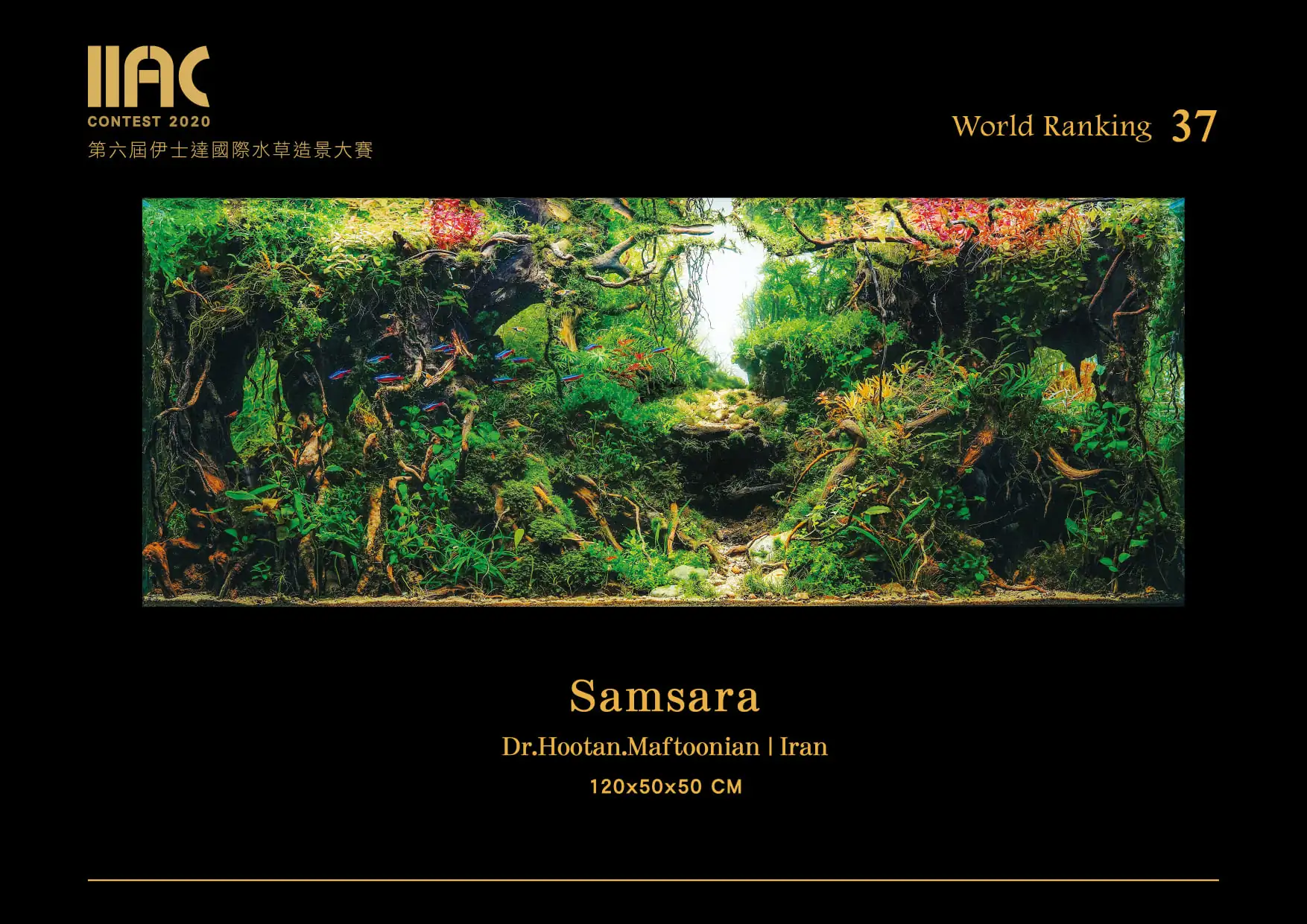 Samsara - IIAC 2020 #37 - Dr. Hootan Maftoonian / Iran