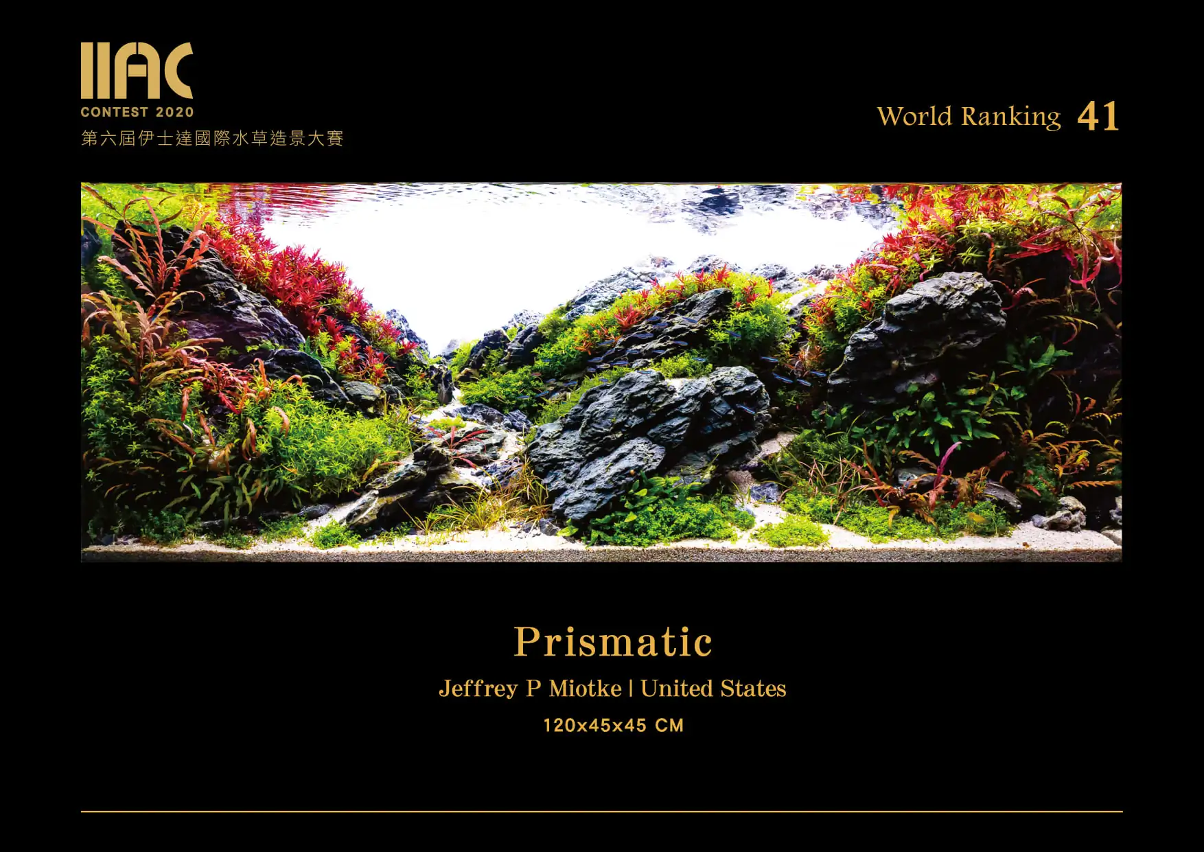 Prismatic - IIAC 2020 #41 - Jeffrey P Miotke / United States