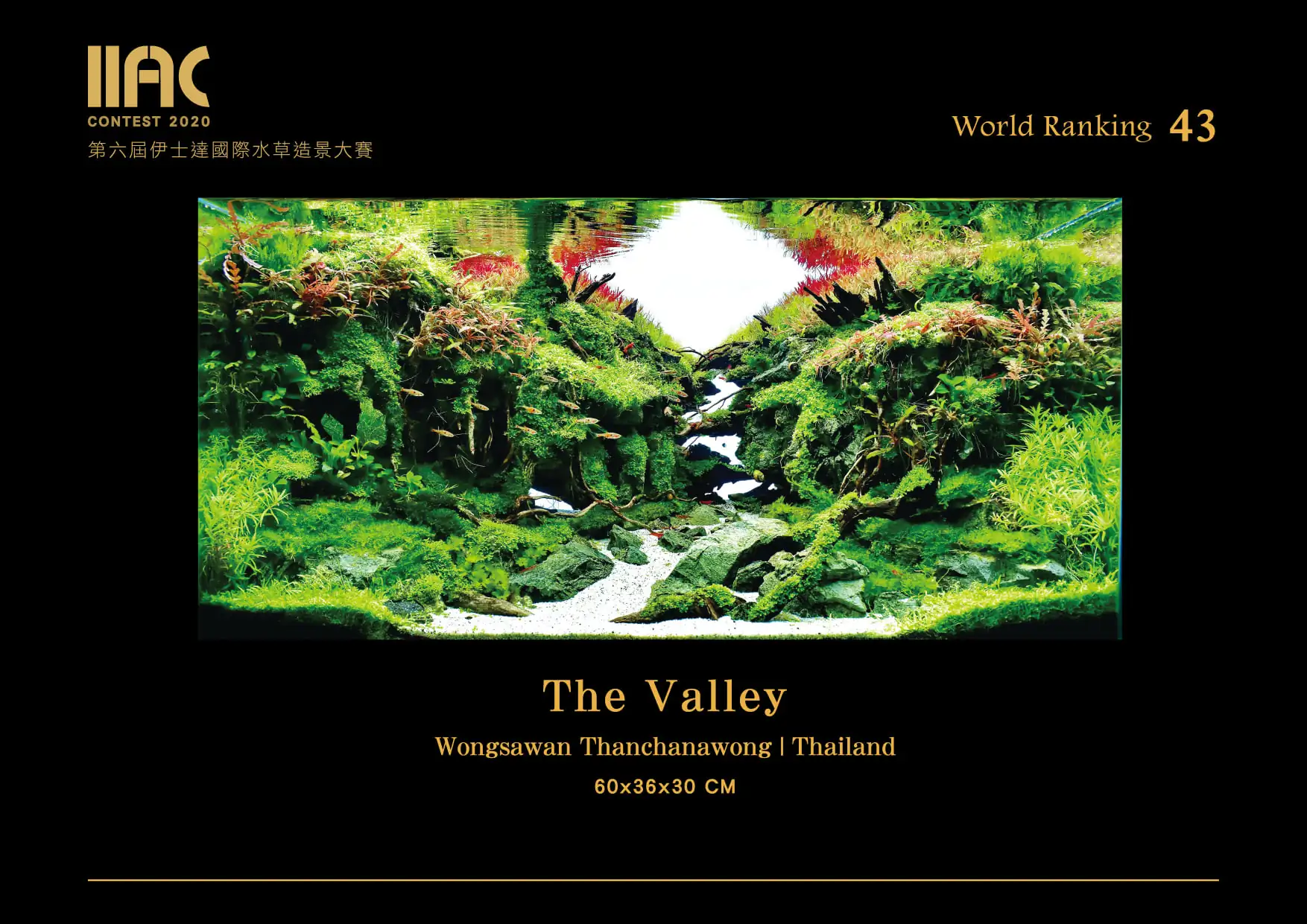 The Valley - IIAC 2020 #43 Wongsawan Thanchanawong / Thailand