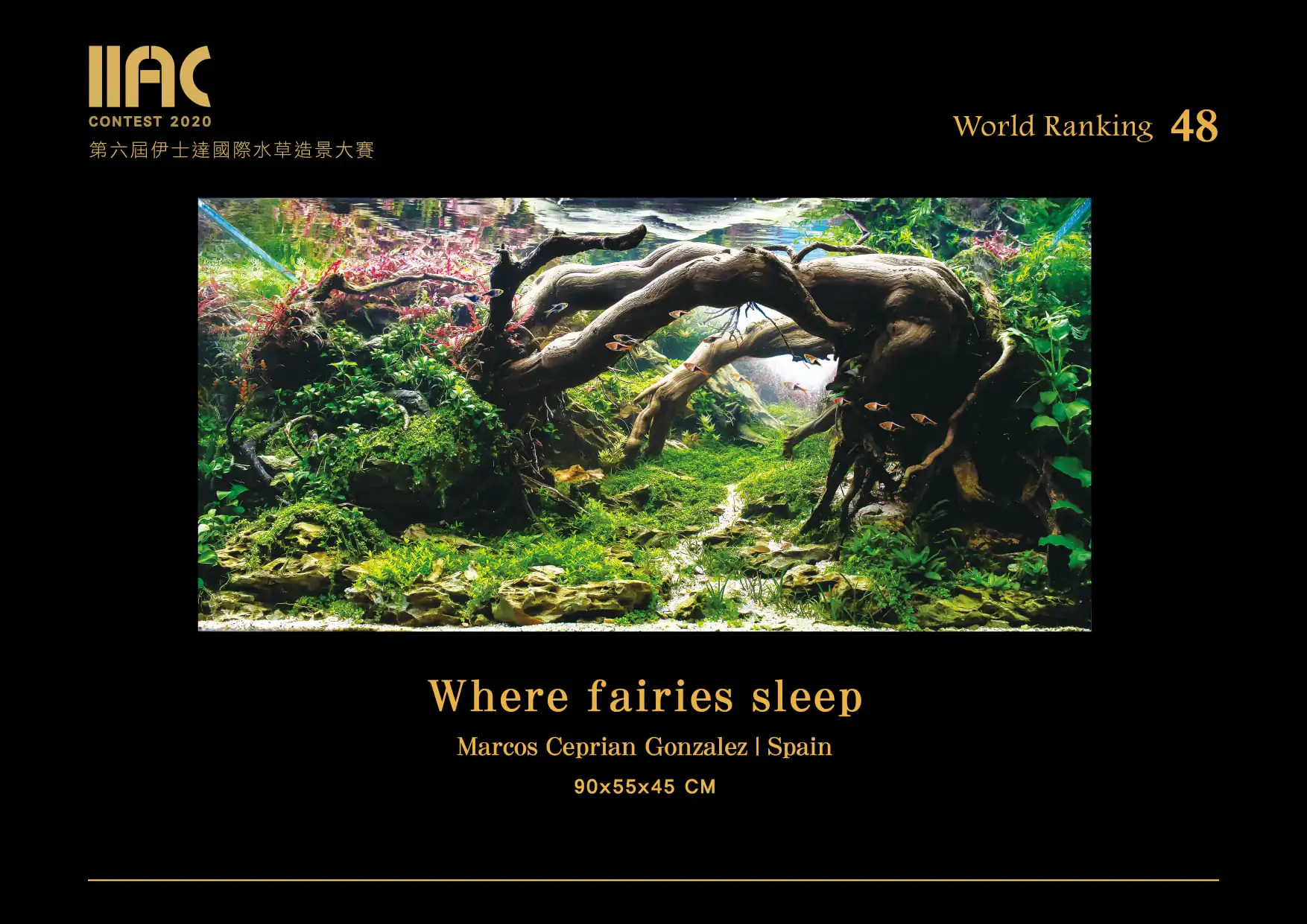Where fairies sleep - IIAC 2020 #48 - Marcos Ceprian Gonzalez / Spain