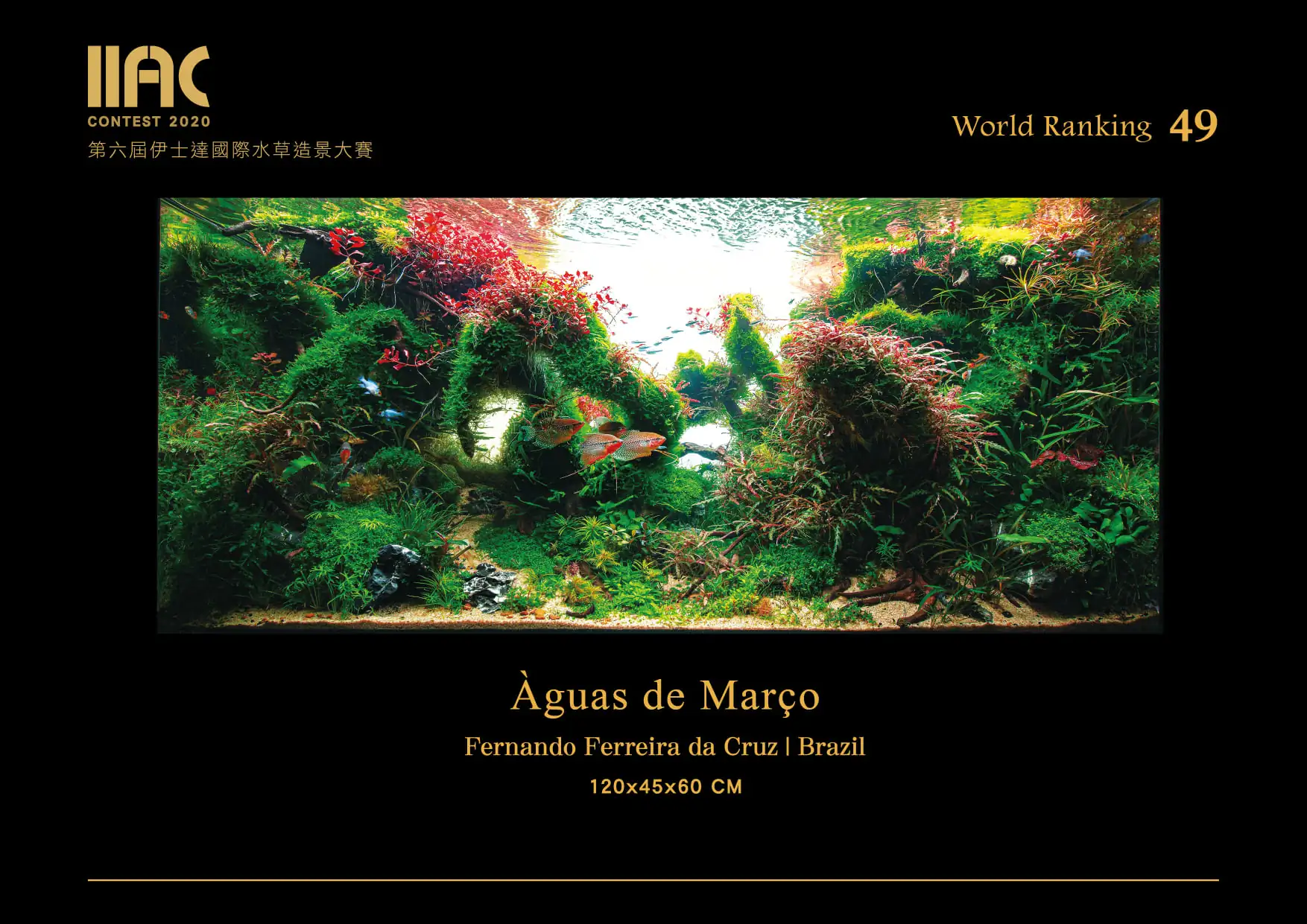 Aguas de Marco - IIAC 2020 #49 - Fernando Ferreira Da Cruz / Brazil