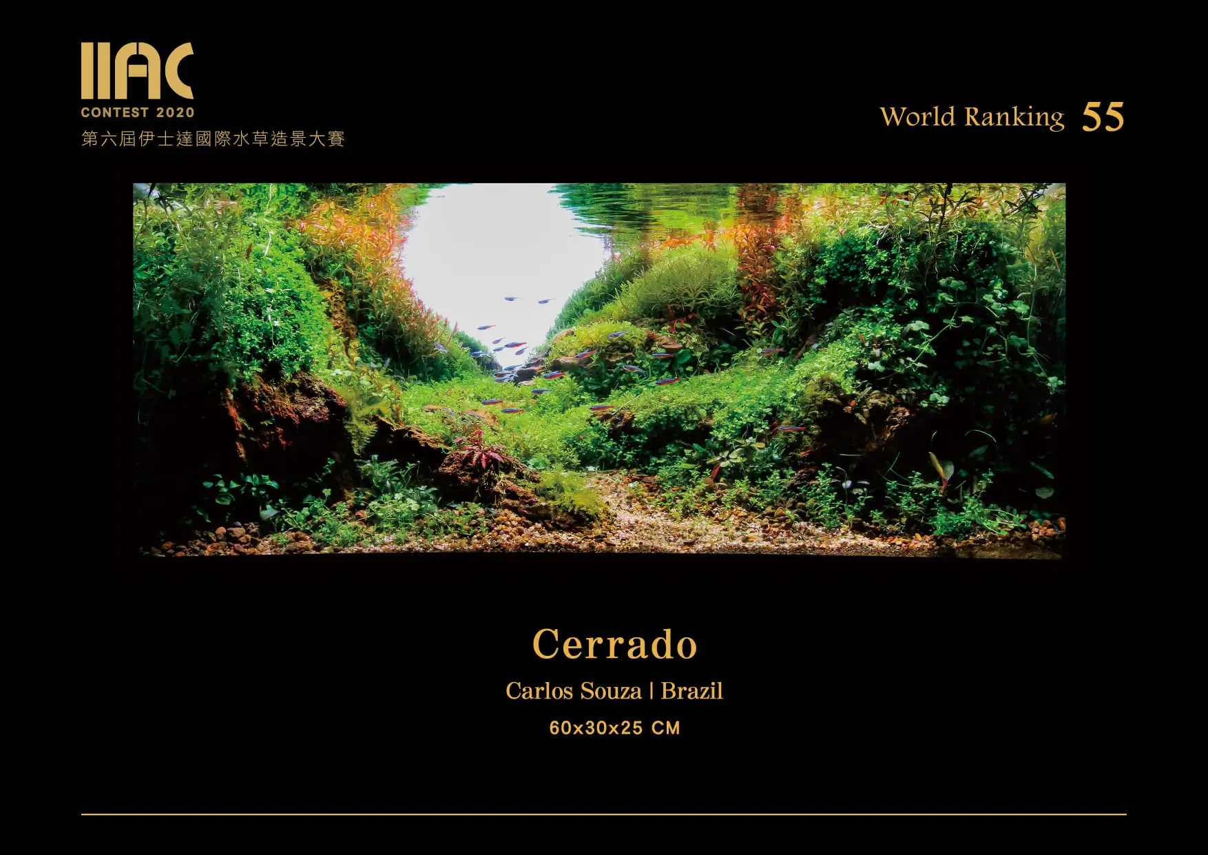 Cerrado - IIAC 2020 #55 Carlos Souza - Brazil