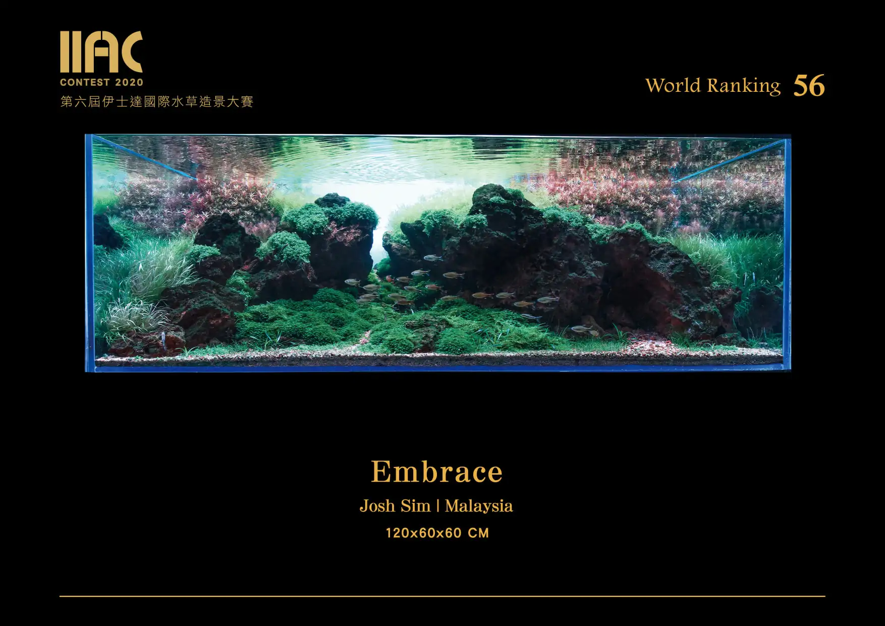 Embrace - IIAC 2020 #56 - Josh Sim / Malaysia