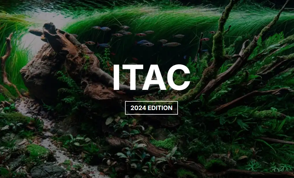 ITAC International Aquascaping Contest 2024 Final result