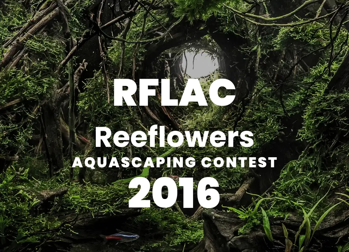 RFLAC 2016 - Reeflowers Aquascaping Contest 2016 Result