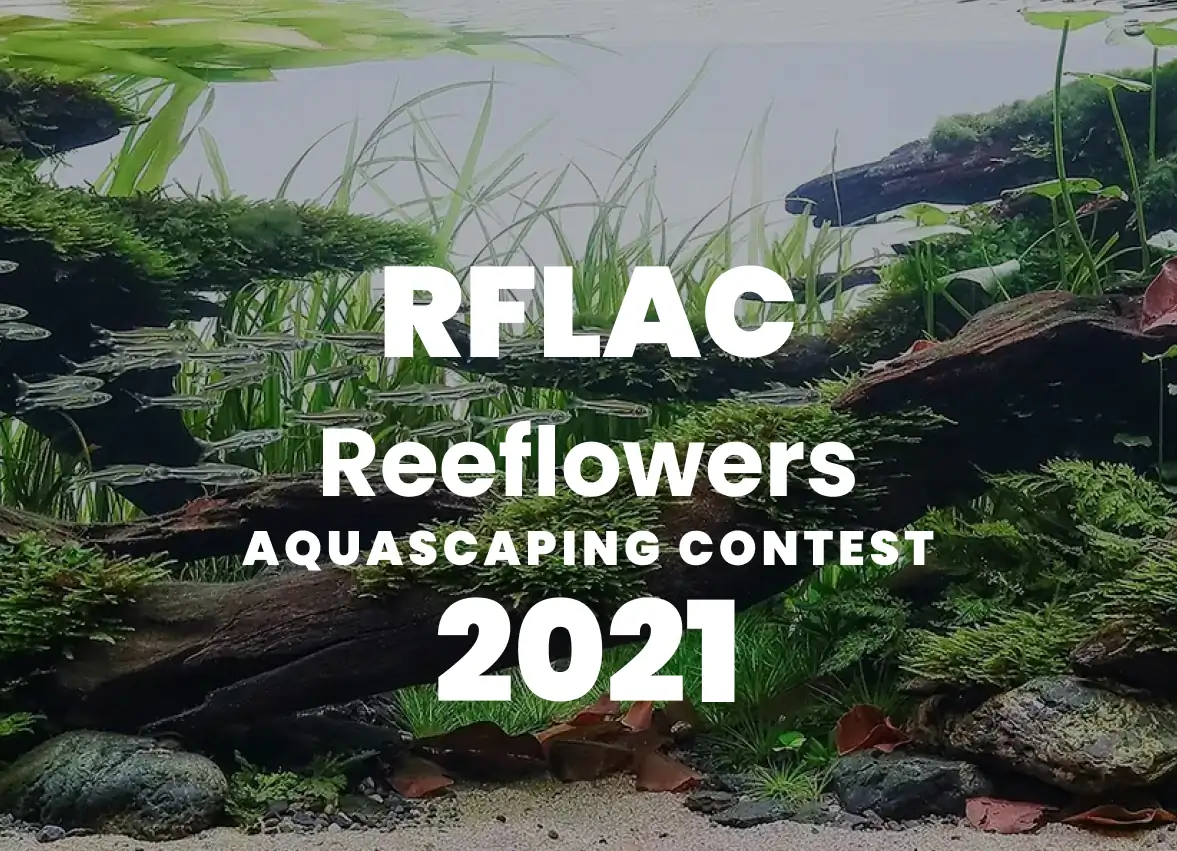 RFLAC 2021 - Reeflowers Aquascaping Contest 2021 Results