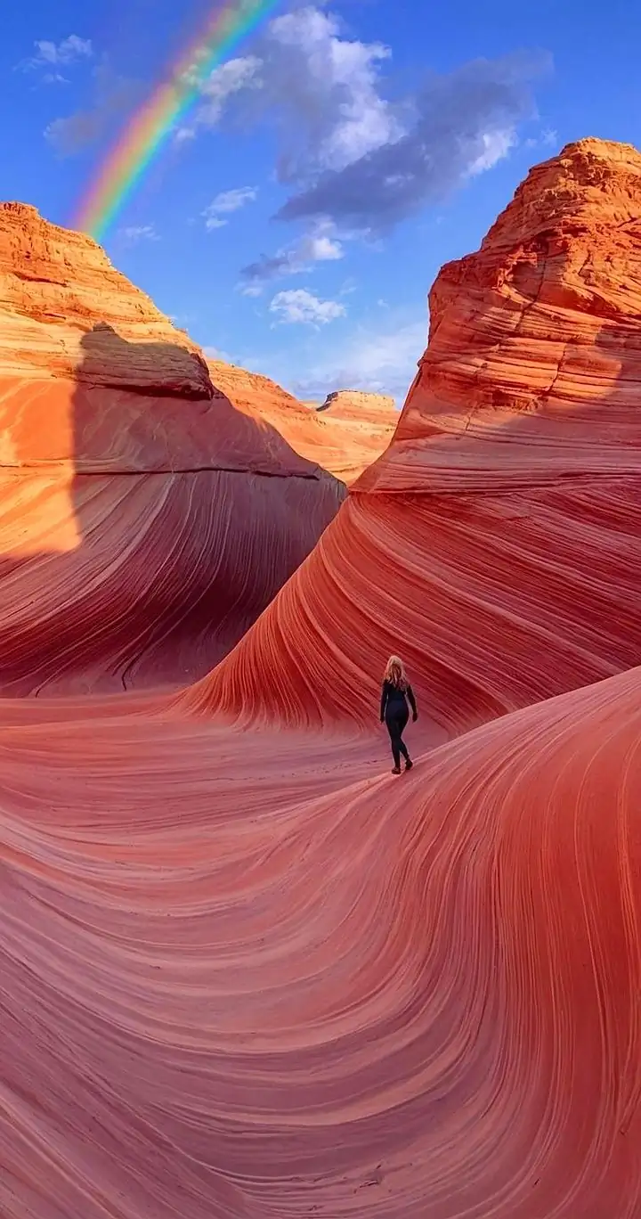 The Wave in Arizona