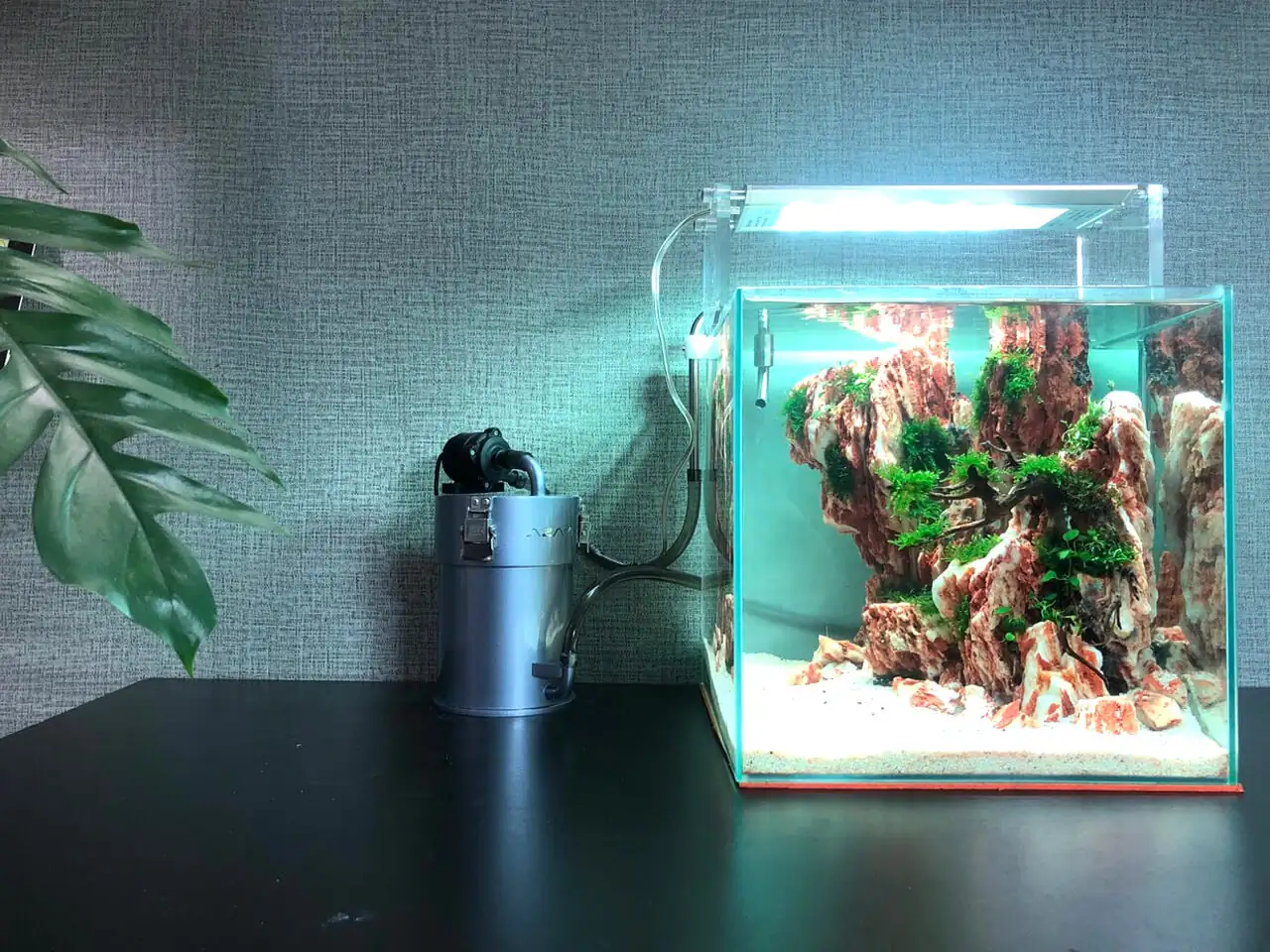 Easy steps to make a luxury aquarium 30x30x30 cm for your workspace