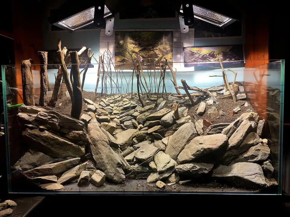 How to make an aquatic plant aquarium ranked 111th in the world - IAPLC 2017 - How to make an aquatic plant aquarium ranked 27th in the world - IAPLC 2018 - Montseny