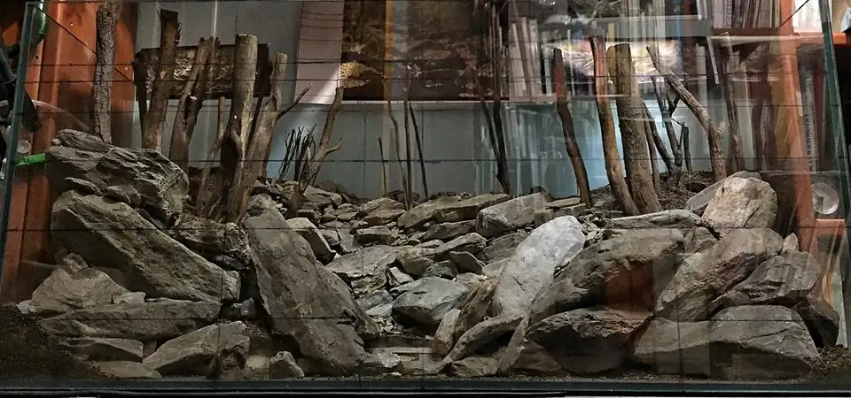 How to make an aquatic plant aquarium ranked 111th in the world - IAPLC 2017 - How to make an aquatic plant aquarium ranked 27th in the world - IAPLC 2018 - Montseny