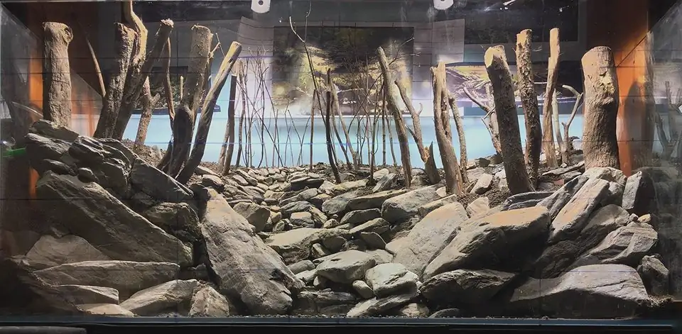 How to make an aquatic plant aquarium ranked 111th in the world - IAPLC 2017 - How to make an aquatic plant aquarium ranked 27th in the world - IAPLC 2018 - Montseny