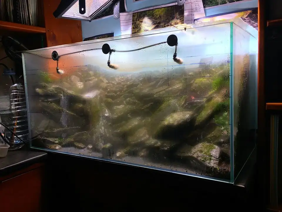 How to make an aquatic plant aquarium ranked 111th in the world - IAPLC 2017 - How to make an aquatic plant aquarium ranked 27th in the world - IAPLC 2018 - Montseny