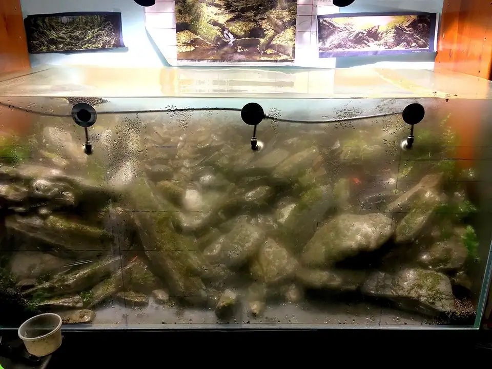 How to make an aquatic plant aquarium ranked 111th in the world - IAPLC 2017 - How to make an aquatic plant aquarium ranked 27th in the world - IAPLC 2018 - Montseny