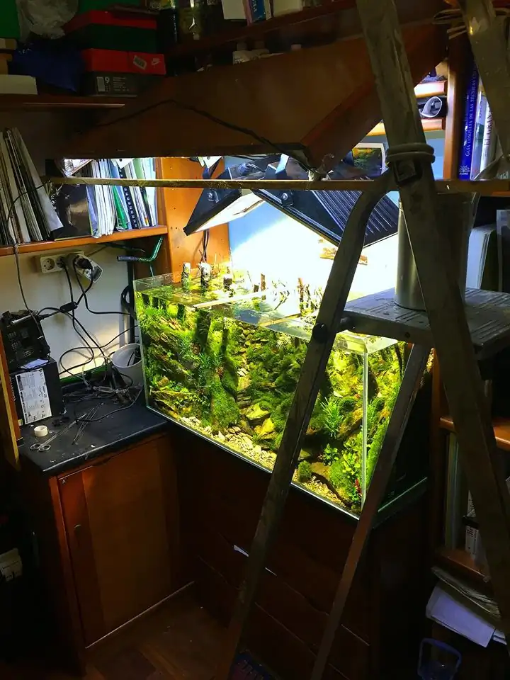 How to make an aquatic plant aquarium ranked 111th in the world - IAPLC 2017 - How to make an aquatic plant aquarium ranked 27th in the world - IAPLC 2018 - Montseny