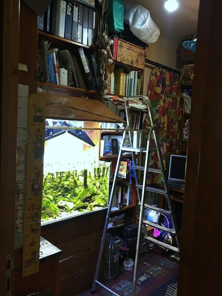 How to make an aquatic plant aquarium ranked 111th in the world - IAPLC 2017 - How to make an aquatic plant aquarium ranked 27th in the world - IAPLC 2018 - Montseny