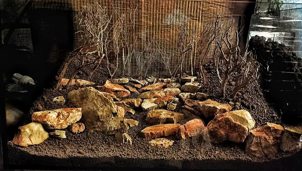 How to make an aquatic plant aquarium ranked 111th in the world - IAPLC 2017 - How to make an aquatic plant aquarium ranked 27th in the world - IAPLC 2018 - Montseny