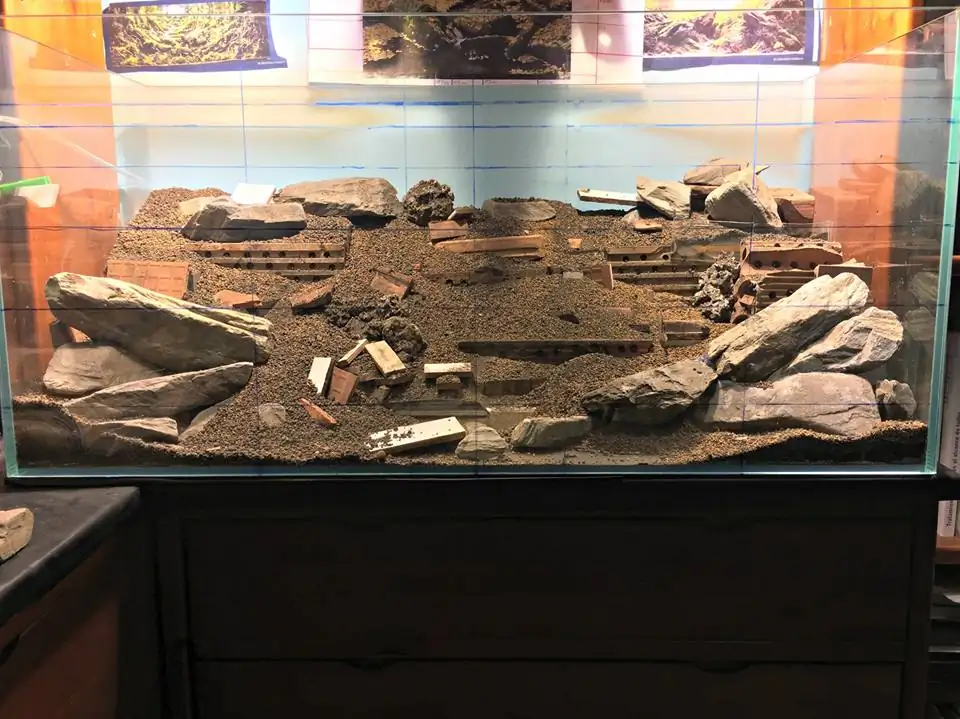 How to make an aquatic plant aquarium ranked 111th in the world - IAPLC 2017 - How to make an aquatic plant aquarium ranked 27th in the world - IAPLC 2018 - Montseny