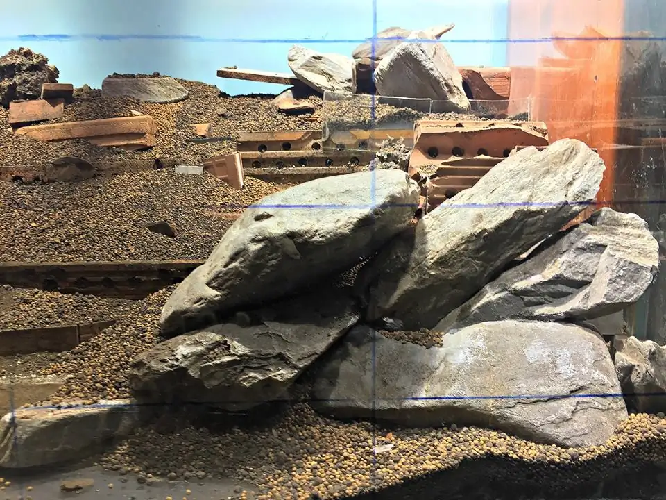 How to make an aquatic plant aquarium ranked 111th in the world - IAPLC 2017 - How to make an aquatic plant aquarium ranked 27th in the world - IAPLC 2018 - Montseny