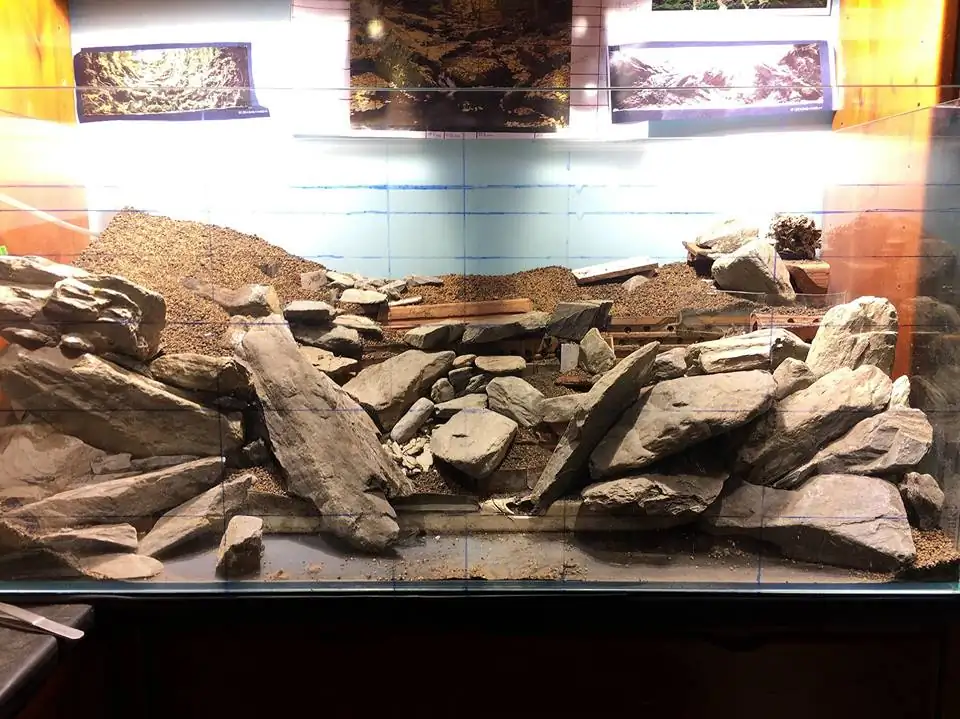 How to make an aquatic plant aquarium ranked 111th in the world - IAPLC 2017 - How to make an aquatic plant aquarium ranked 27th in the world - IAPLC 2018 - Montseny