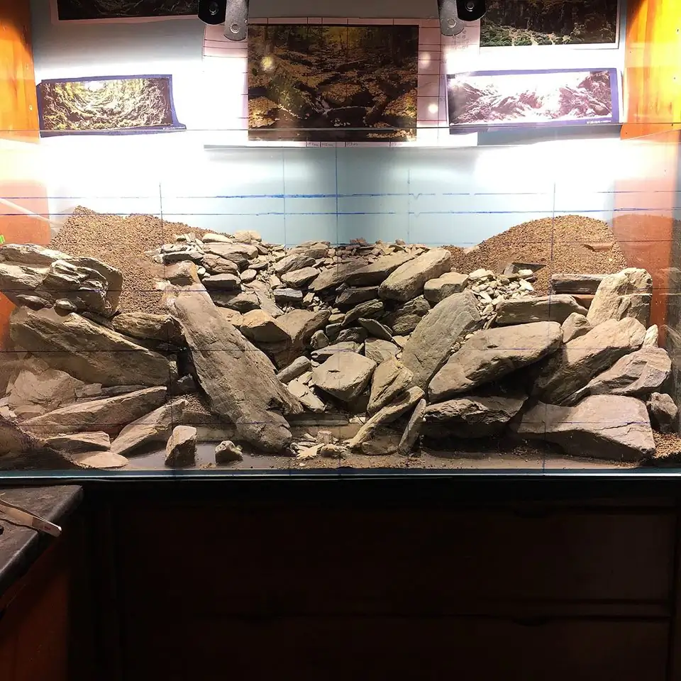 How to make an aquatic plant aquarium ranked 111th in the world - IAPLC 2017 - How to make an aquatic plant aquarium ranked 27th in the world - IAPLC 2018 - Montseny