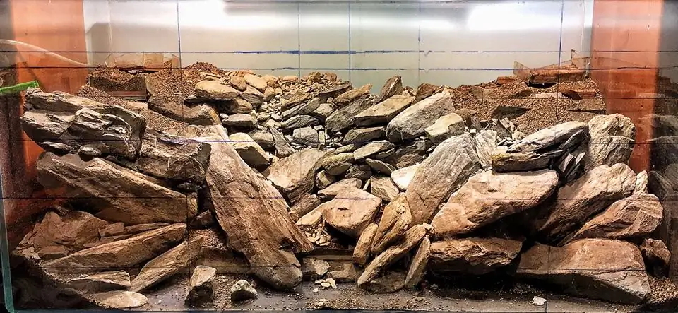 How to make an aquatic plant aquarium ranked 111th in the world - IAPLC 2017 - How to make an aquatic plant aquarium ranked 27th in the world - IAPLC 2018 - Montseny