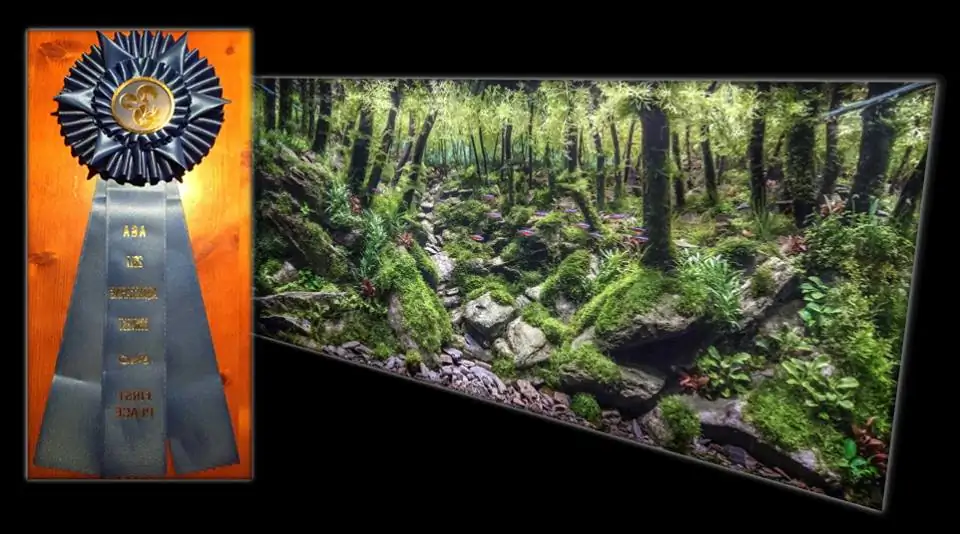 How to make an aquatic plant aquarium ranked 111th in the world - IAPLC 2017 - How to make an aquatic plant aquarium ranked 27th in the world - IAPLC 2018 - Montseny