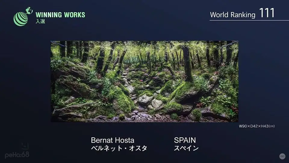 How to make an aquatic plant aquarium ranked 111th in the world - IAPLC 2017 - How to make an aquatic plant aquarium ranked 27th in the world - IAPLC 2018 - Montseny