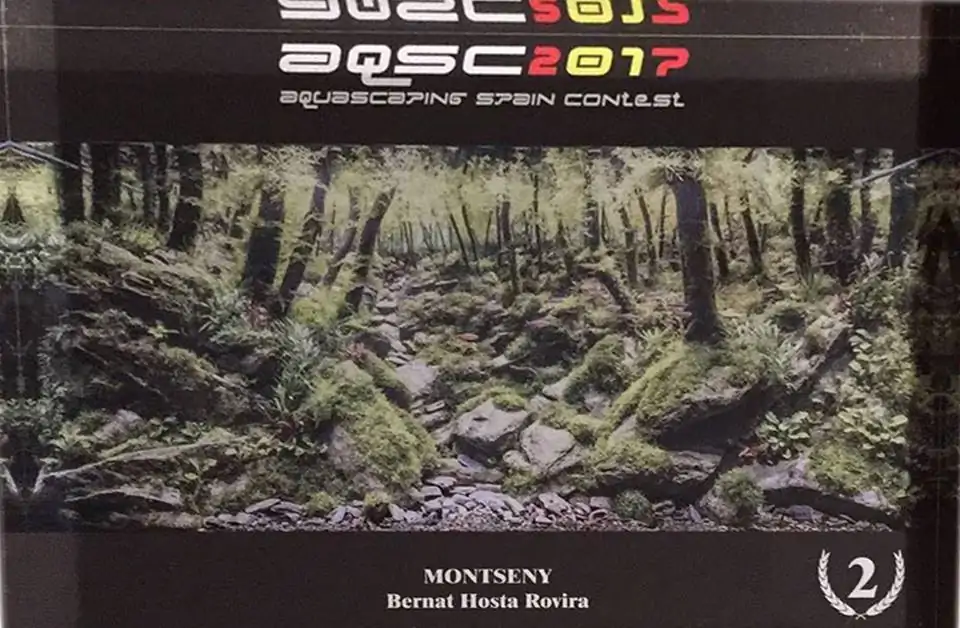 How to make an aquatic plant aquarium ranked 111th in the world - IAPLC 2017 - How to make an aquatic plant aquarium ranked 27th in the world - IAPLC 2018 - Montseny