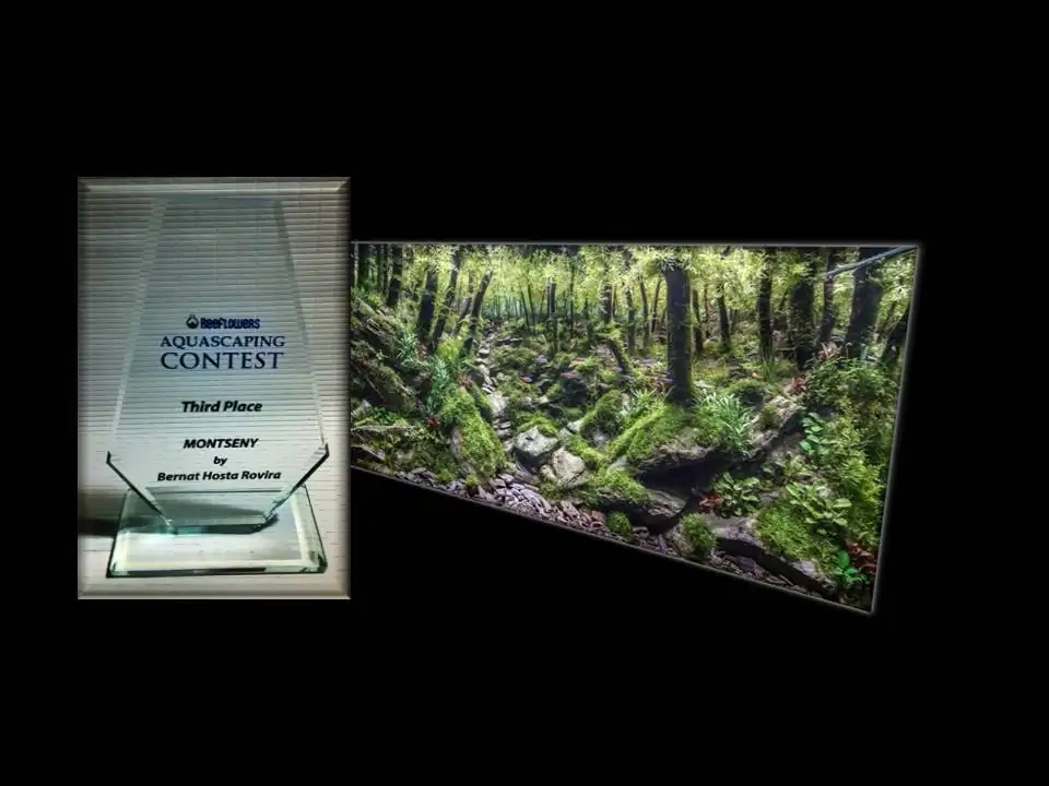 How to make an aquatic plant aquarium ranked 111th in the world - IAPLC 2017 - How to make an aquatic plant aquarium ranked 27th in the world - IAPLC 2018 - Montseny