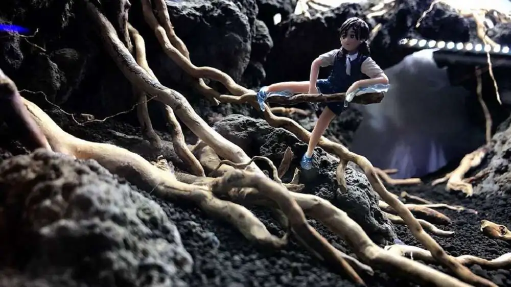 Step by step progression IAPLC 2018 Rank 23