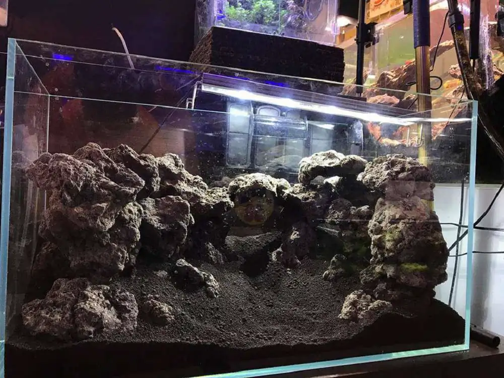 Step by step progression IAPLC 2018 Rank 23