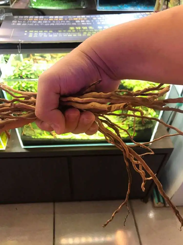 Step by step progression IAPLC 2018 Rank 23