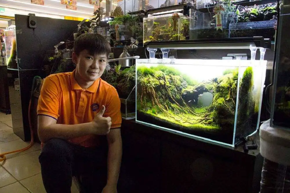 Step by step progression IAPLC 2018 Rank 23