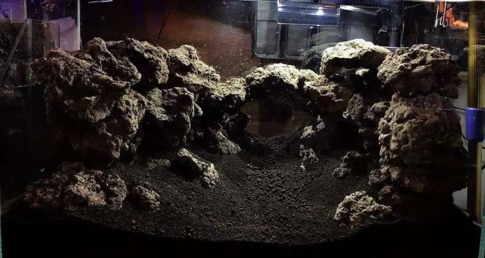 Step by step progression IAPLC 2018 Rank 23