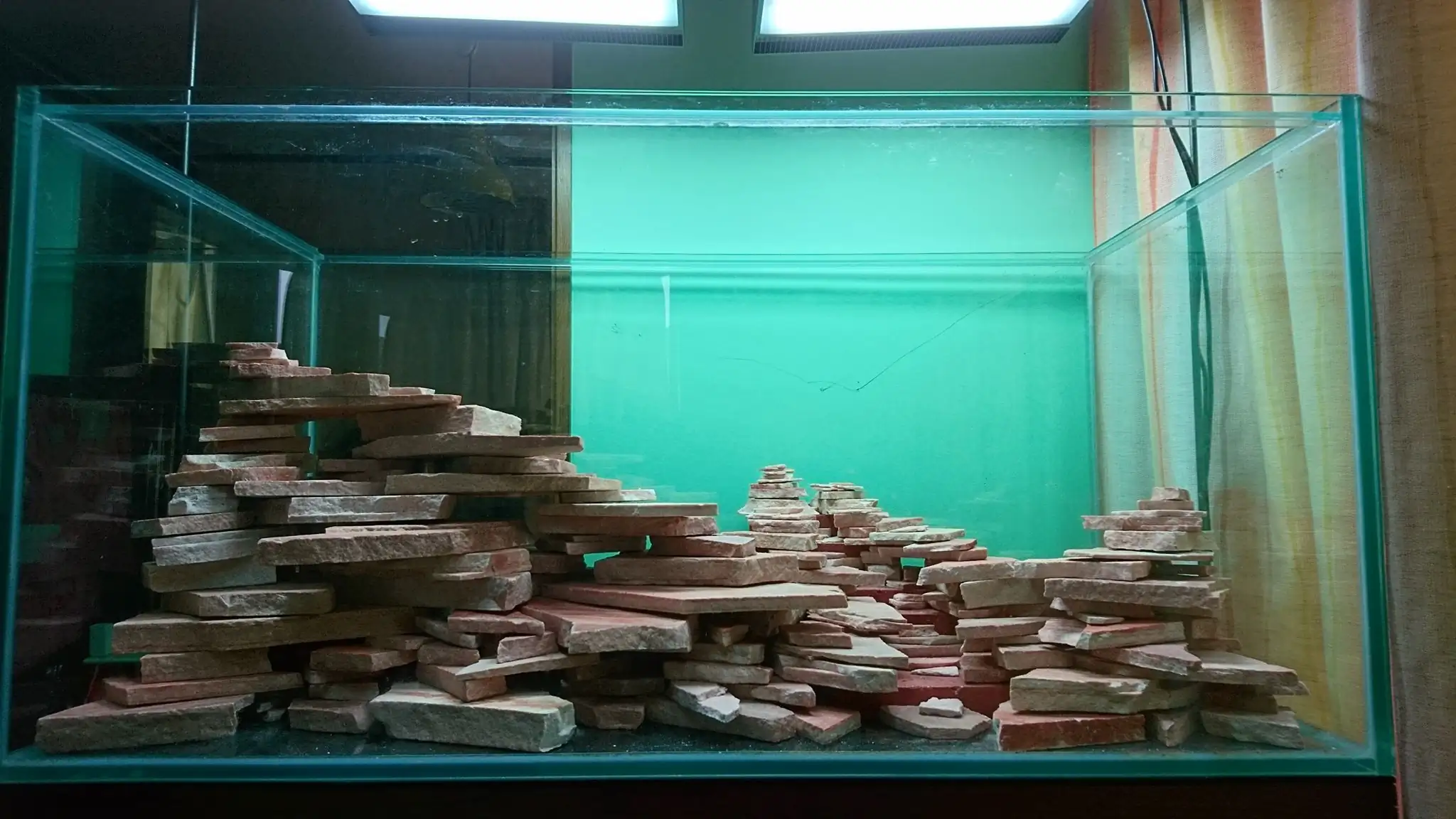 How to make an aquatic plant aquarium ranked 27th in the world - IAPLC 2018 - Place of fascinatin