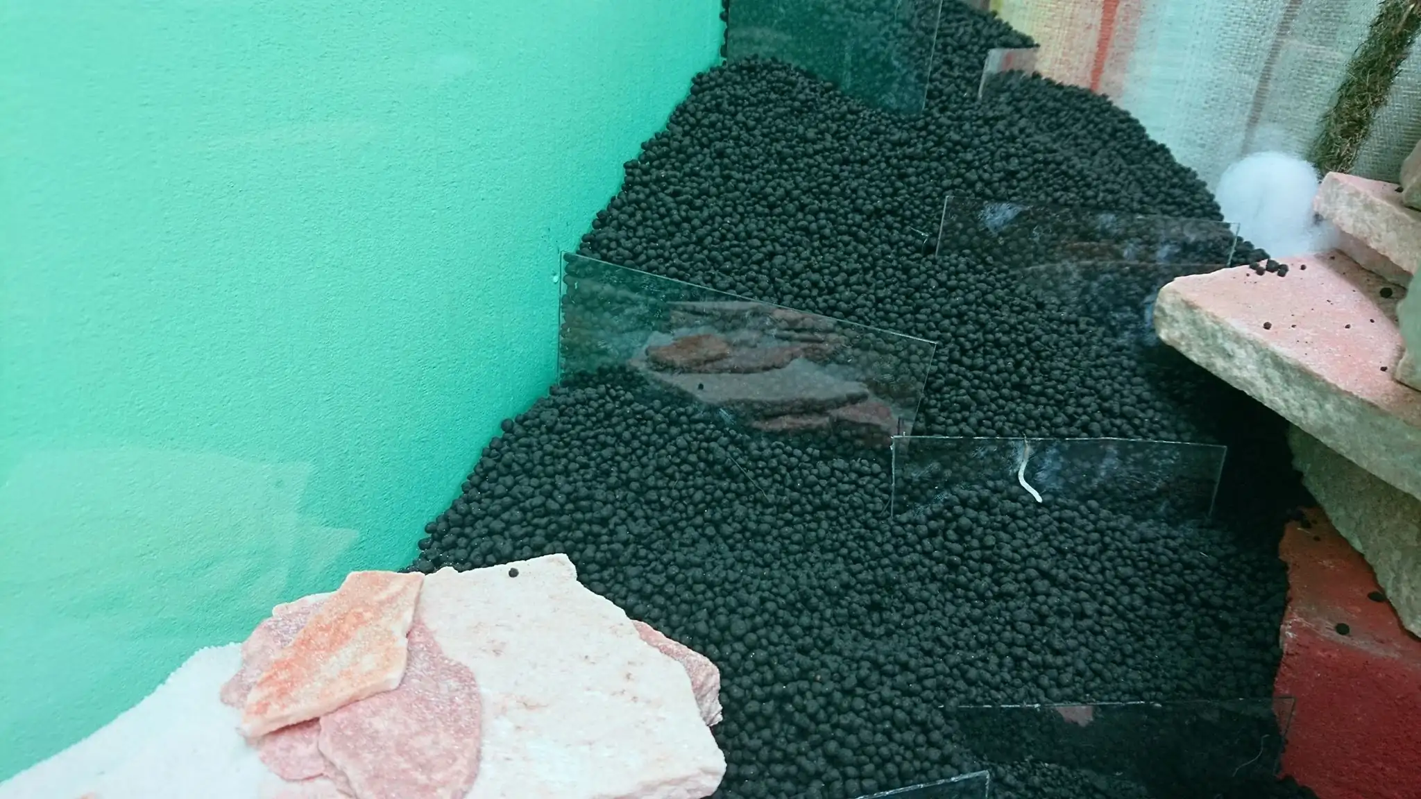 How to make an aquatic plant aquarium ranked 27th in the world - IAPLC 2018 - Place of fascinatin