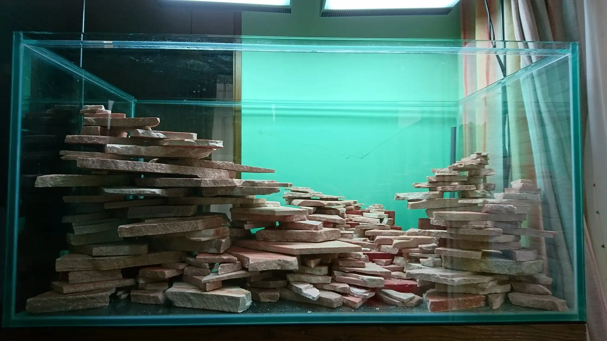 How to make an aquatic plant aquarium ranked 27th in the world - IAPLC 2018 - Place of fascinatin