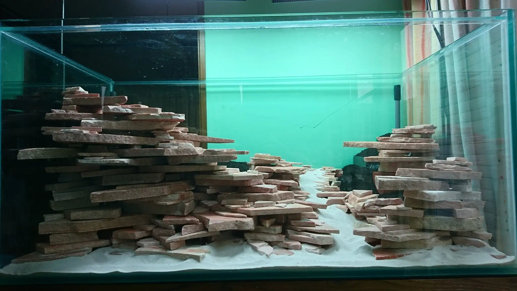 How to make an aquatic plant aquarium ranked 27th in the world - IAPLC 2018 - Place of fascinatin