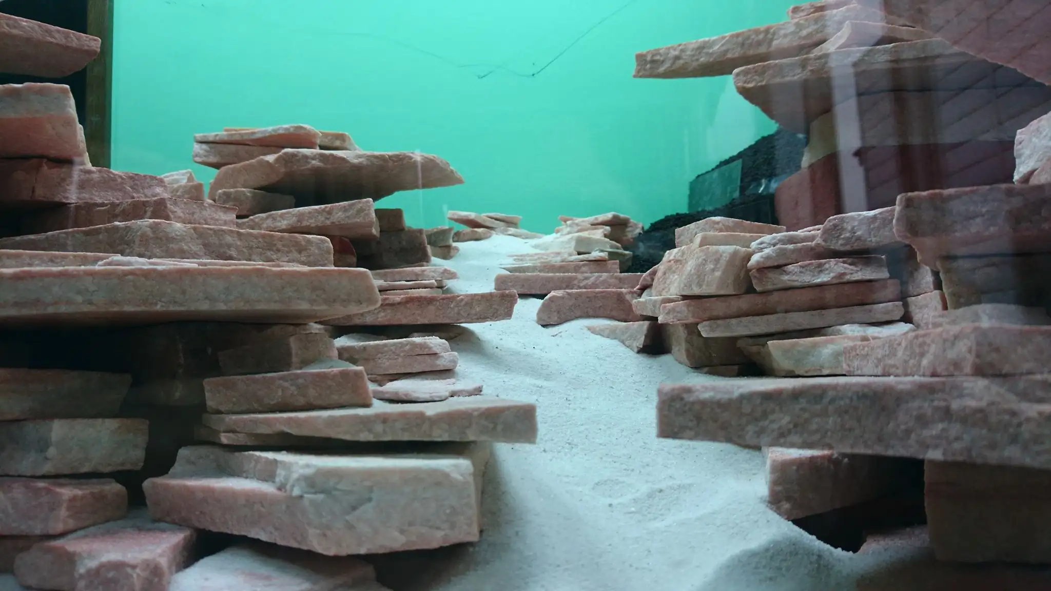 How to make an aquatic plant aquarium ranked 27th in the world - IAPLC 2018 - Place of fascinatin