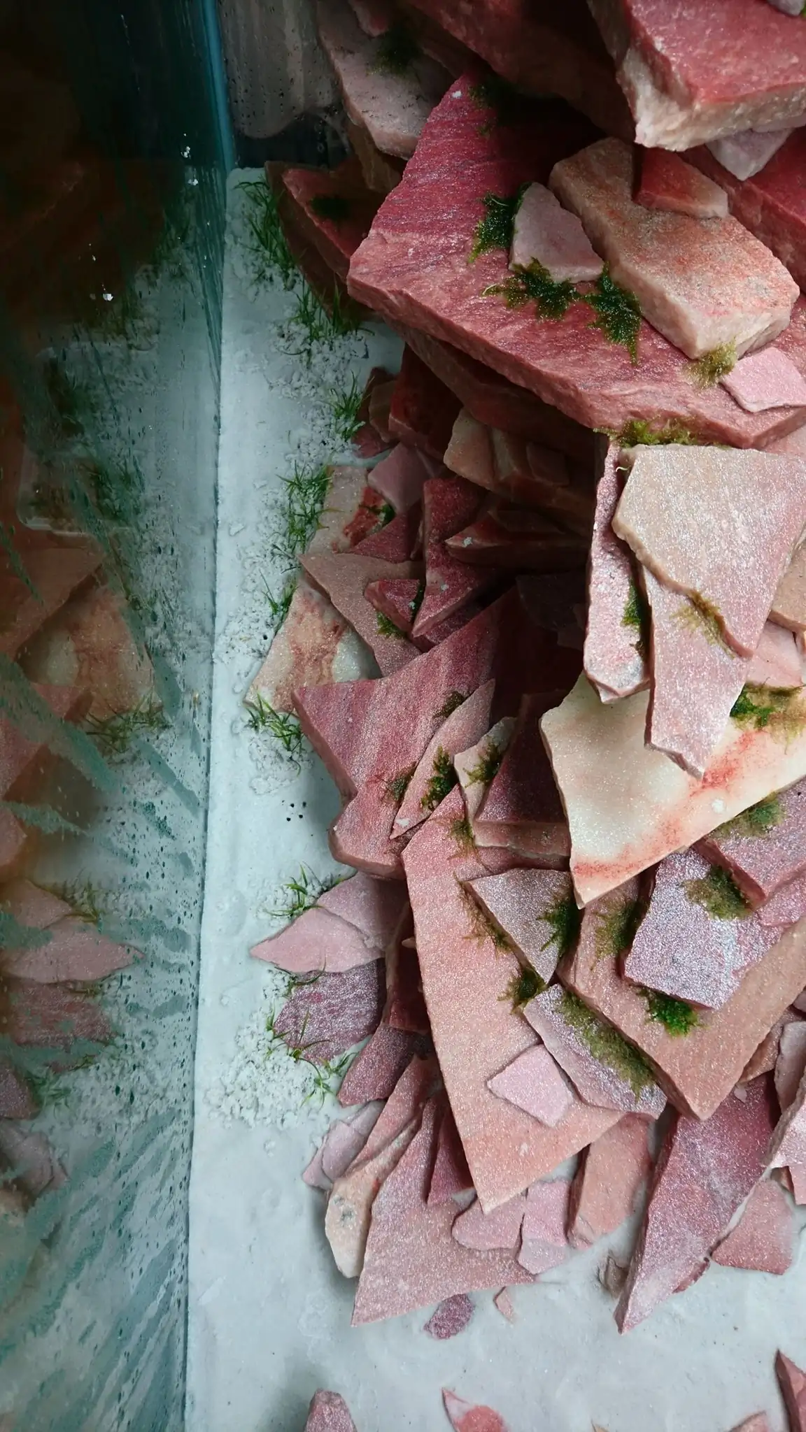 How to make an aquatic plant aquarium ranked 27th in the world - IAPLC 2018 - Place of fascinatin