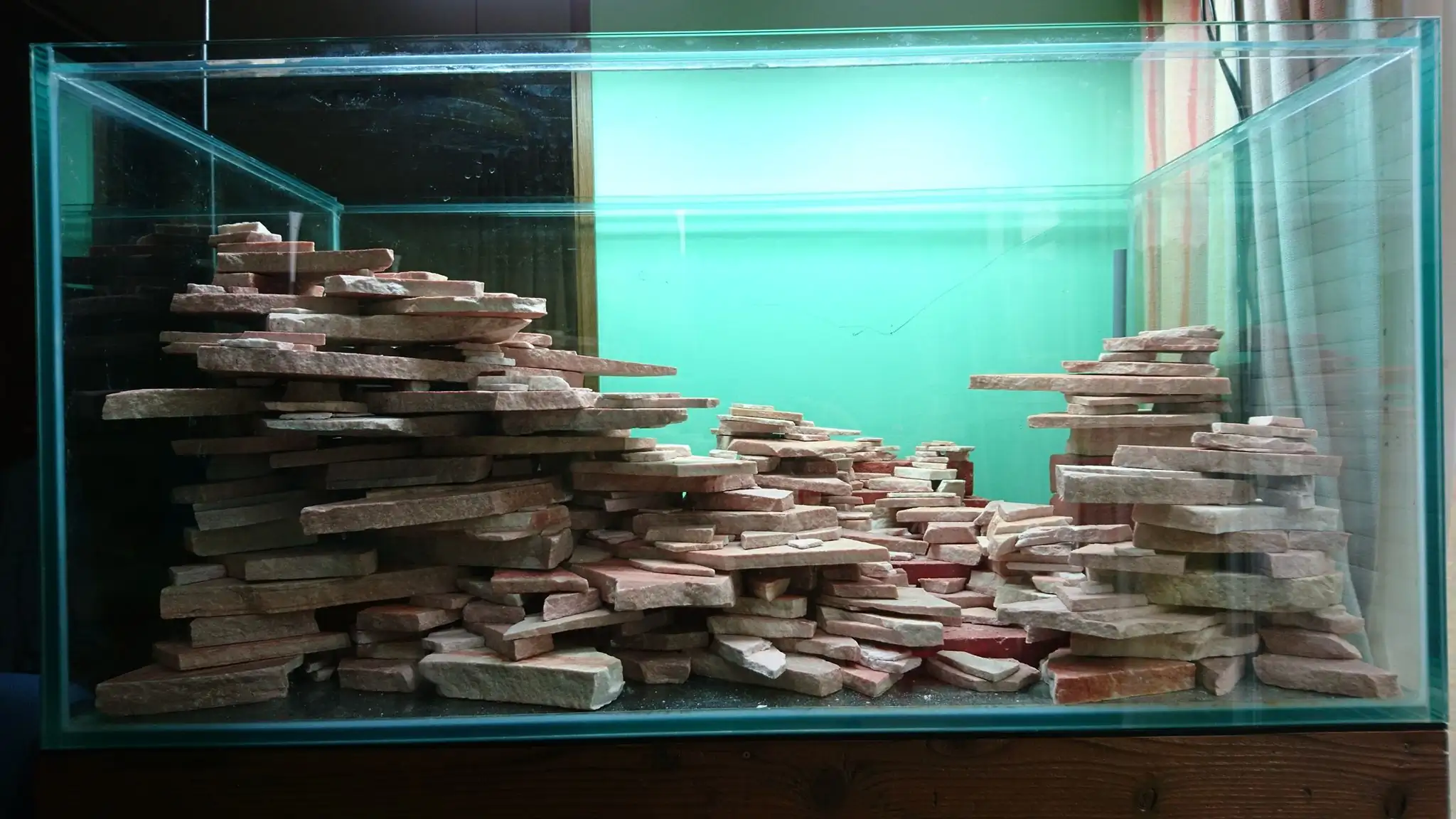 How to make an aquatic plant aquarium ranked 27th in the world - IAPLC 2018 - Place of fascinatin