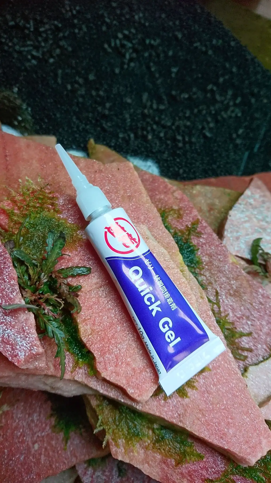 How to make an aquatic plant aquarium ranked 27th in the world - IAPLC 2018 - Place of fascinatin