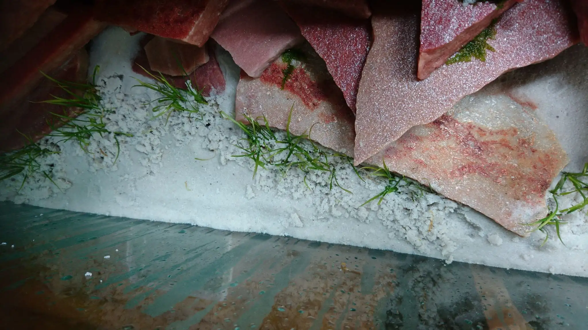 How to make an aquatic plant aquarium ranked 27th in the world - IAPLC 2018 - Place of fascinatin