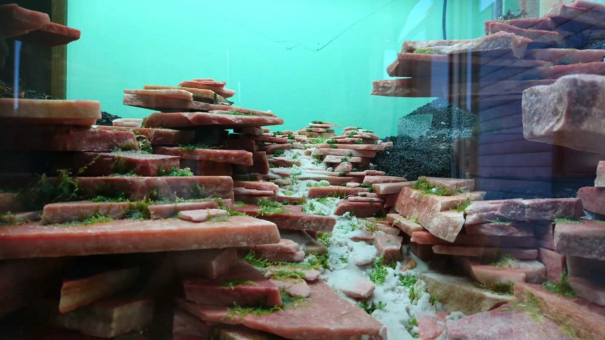 How to make an aquatic plant aquarium ranked 27th in the world - IAPLC 2018 - Place of fascinatin