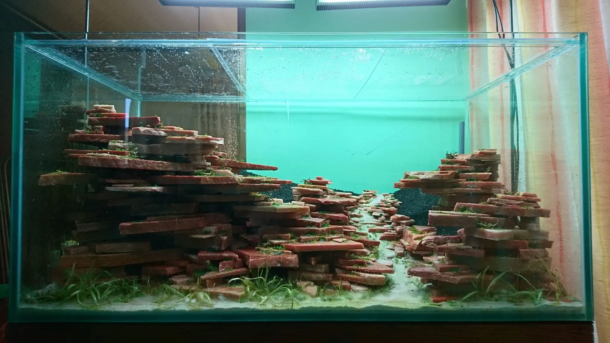 How to make an aquatic plant aquarium ranked 27th in the world - IAPLC 2018 - Place of fascinatin