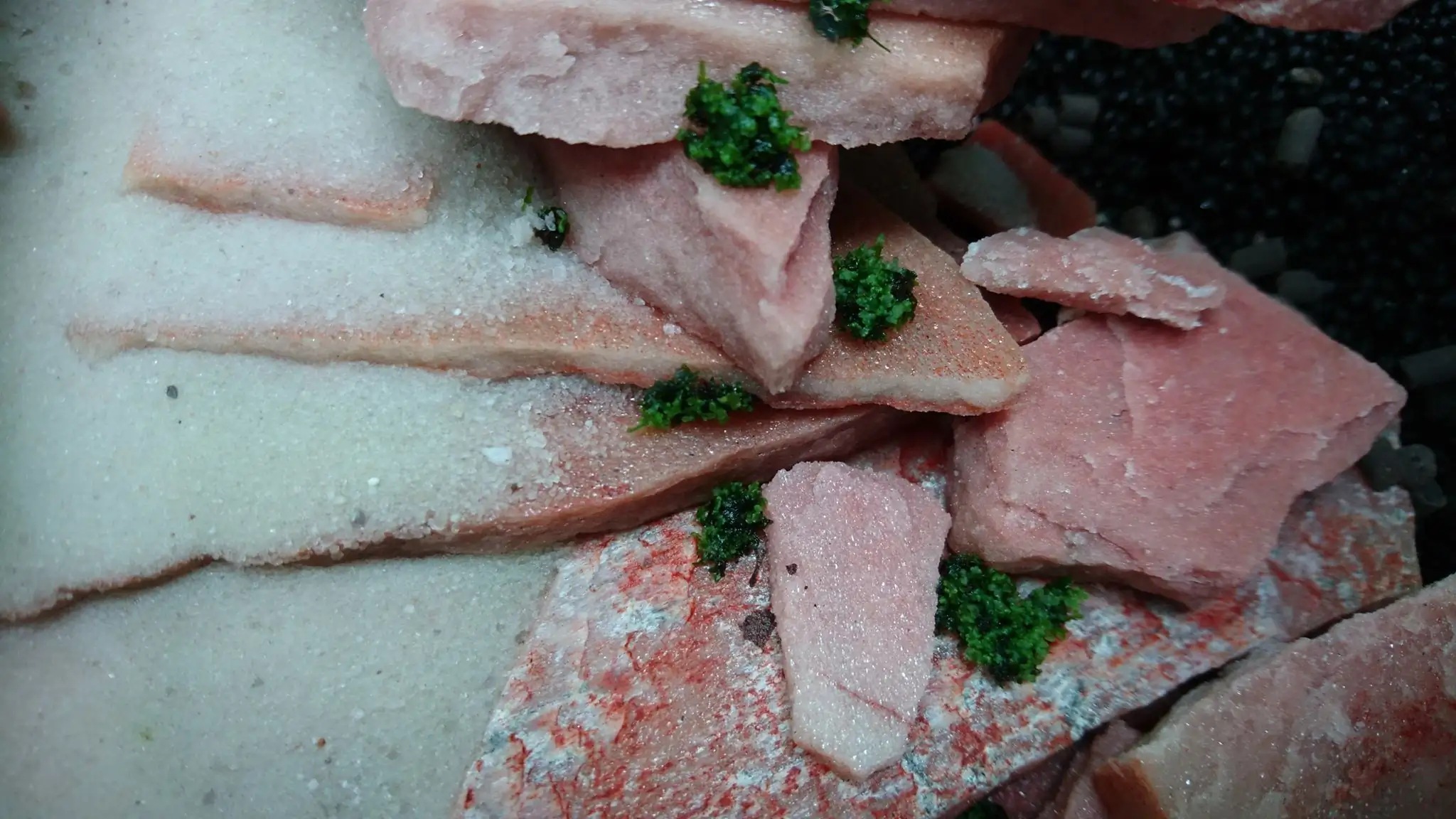 How to make an aquatic plant aquarium ranked 27th in the world - IAPLC 2018 - Place of fascinatin