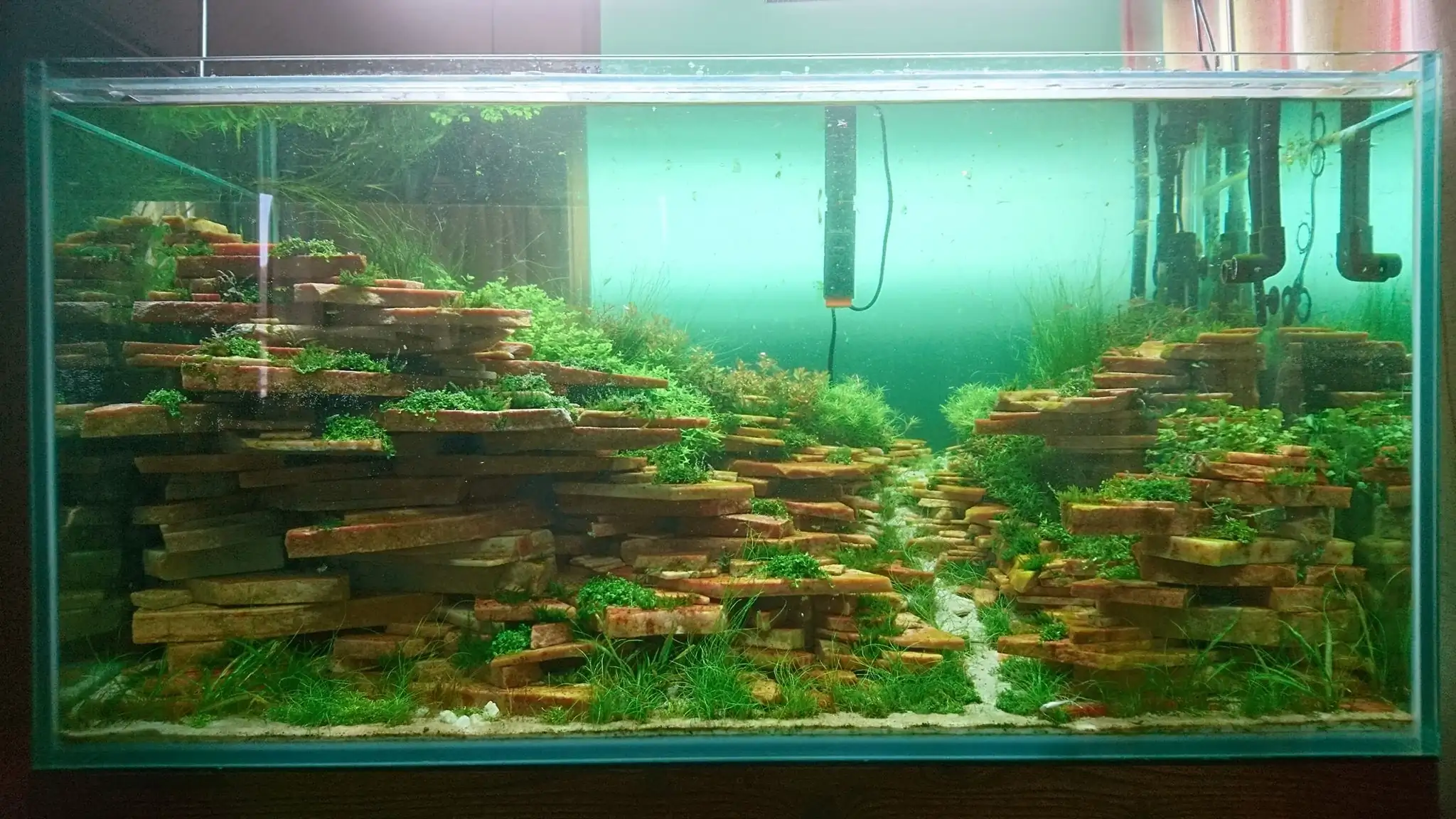 How to make an aquatic plant aquarium ranked 27th in the world - IAPLC 2018 - Place of fascinatin