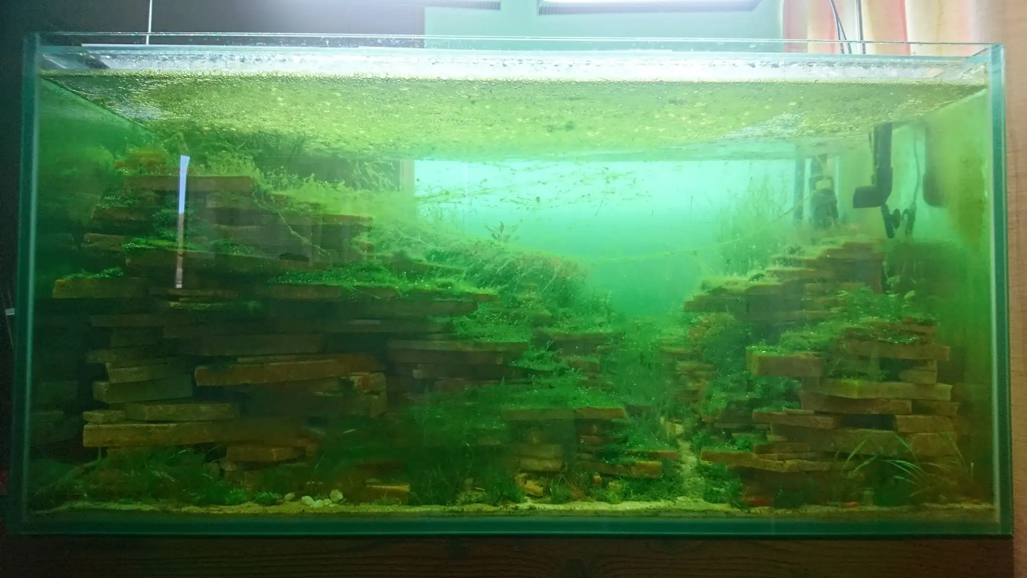 How to make an aquatic plant aquarium ranked 27th in the world - IAPLC 2018 - Place of fascinatin